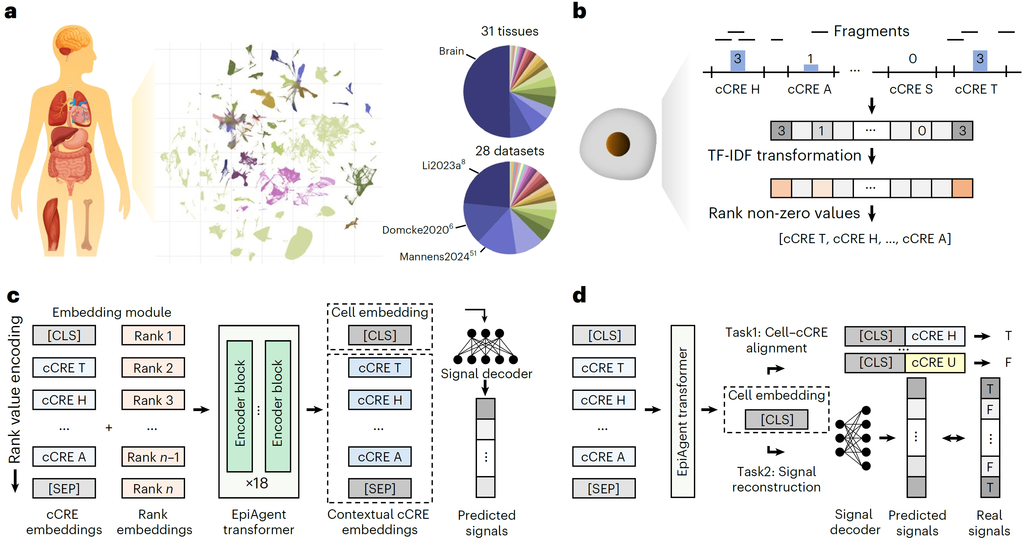清华大学自动化系江瑞团队表观基因组研究成果入选2025年度“中国生物信息学十大进展”
