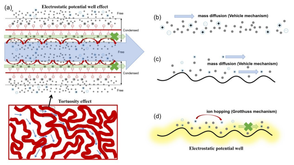 研究提出离子交换膜离子输运新机制