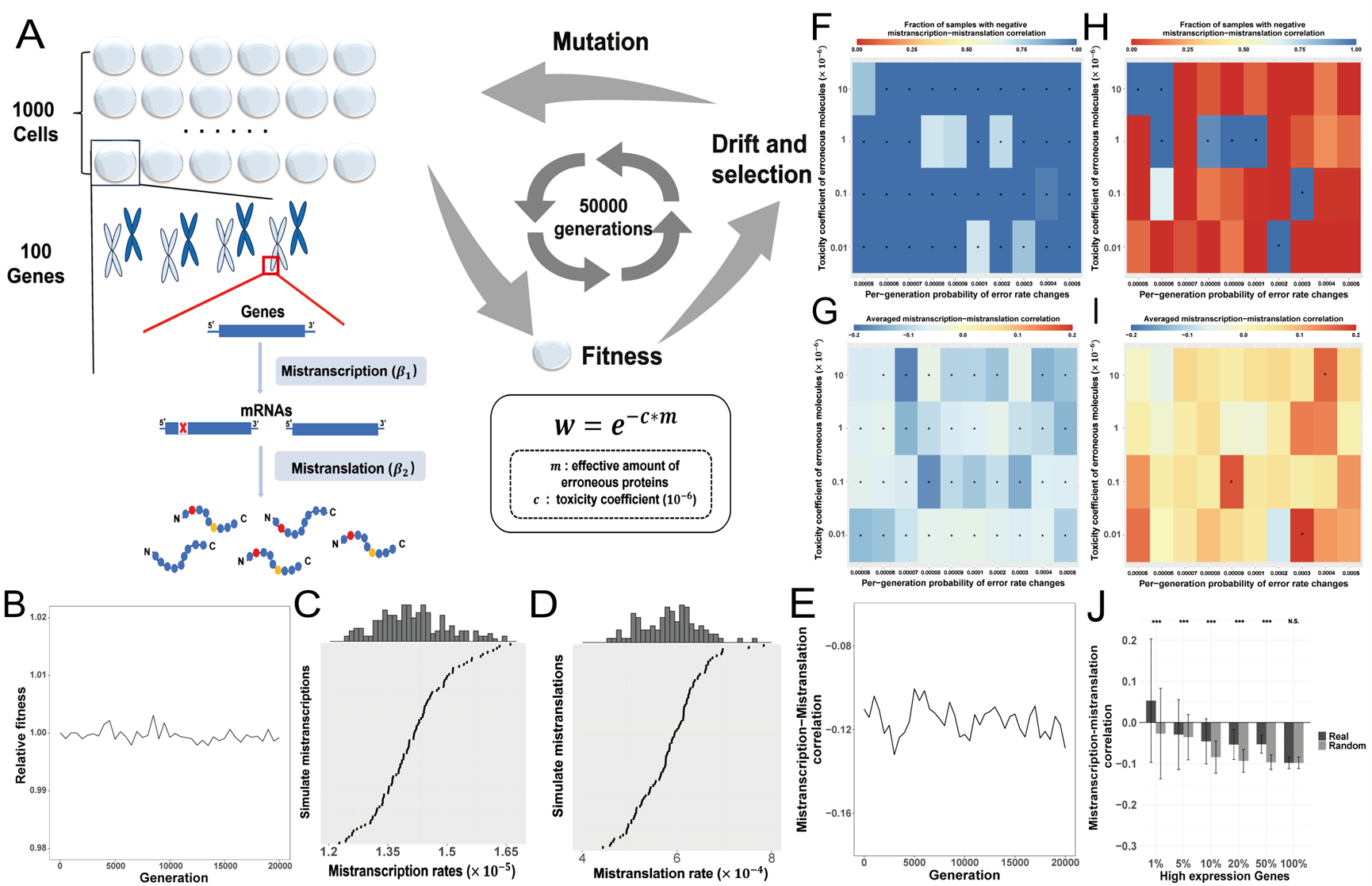 中山大学中山大学中山医学院陈小舒和杨建荣团队揭示真核生物中翻译错误对转录错误的抑制效应