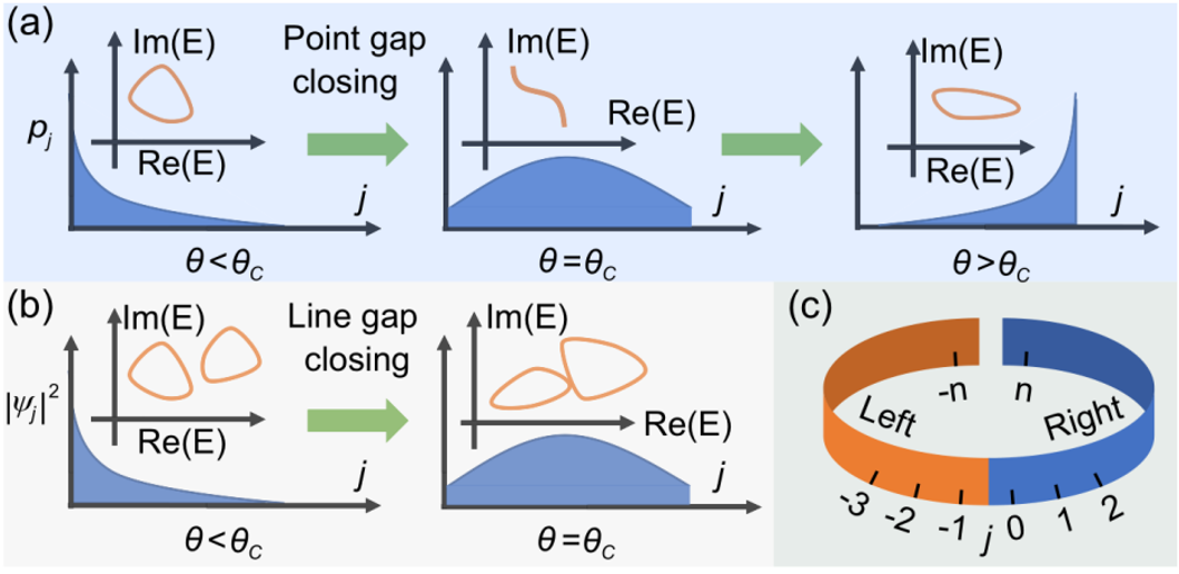 东南大学肖磊团队在量子传感领域取得重要进展
