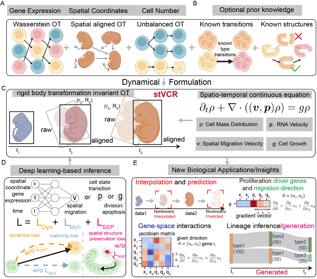 北京大学数学科学学院李铁军/周沛劼团队建立单细胞时空转录组动力学重构新方法stVCR