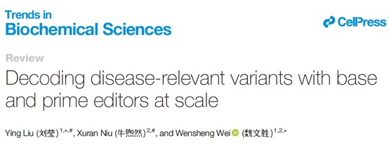 北京大学生命科学学院魏文胜课题组受邀发表综述：利用碱基与引导编辑器实现疾病相关变异的大规模解码