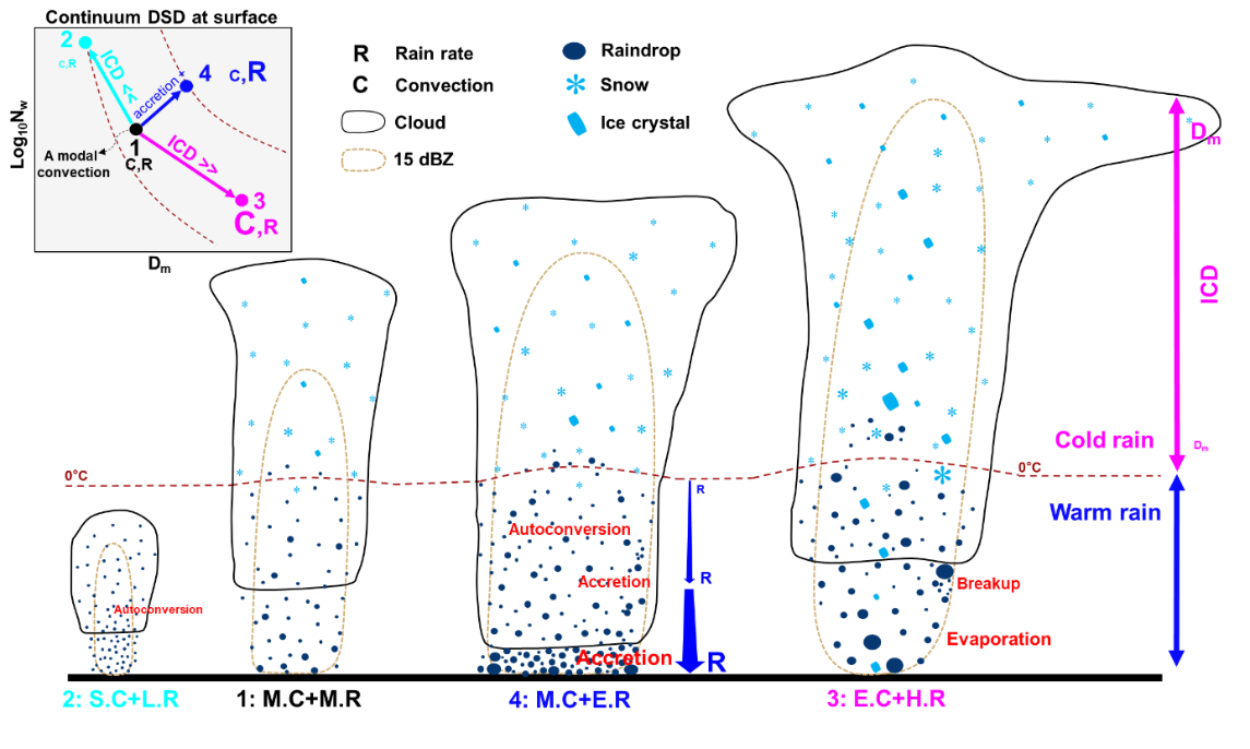 北京大学物理学院聂绩课题组与合作者揭示强降水雨滴谱的新物理图像