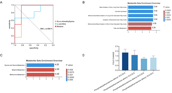 西北农林科技大学（806）动科昝林森教授团队在瘤胃微生物与宿主基因协同调控肉牛肌内脂肪沉积机制解析方面取得新进展