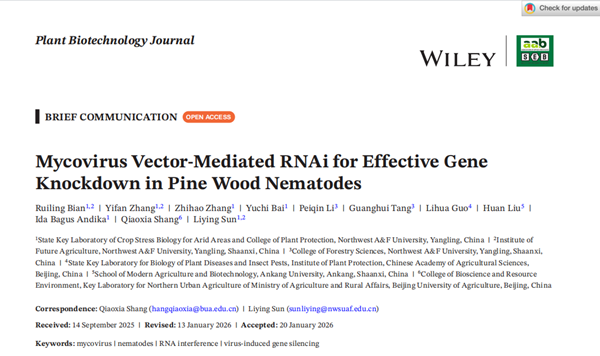 西北农林科技大学（804）农业线虫前沿交叉创新团队开发松材线虫防控新技术：真菌病毒载体介导RNAi实现高效持久基因沉默
