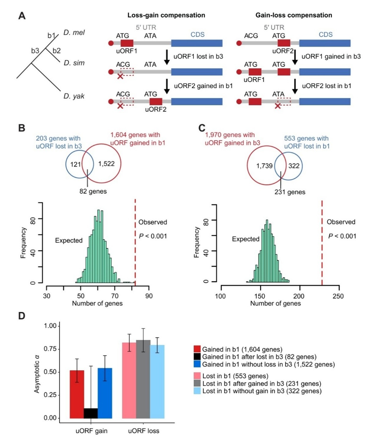 北京大学生命科学学院陆剑课题组揭示果蝇上游开放读码框的演化规律与补偿机制