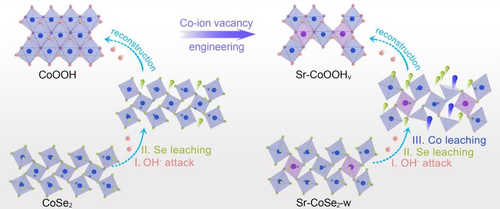 西安交大赵旭团队在阴离子交换膜电解水制氢催化剂领域取得重要进展