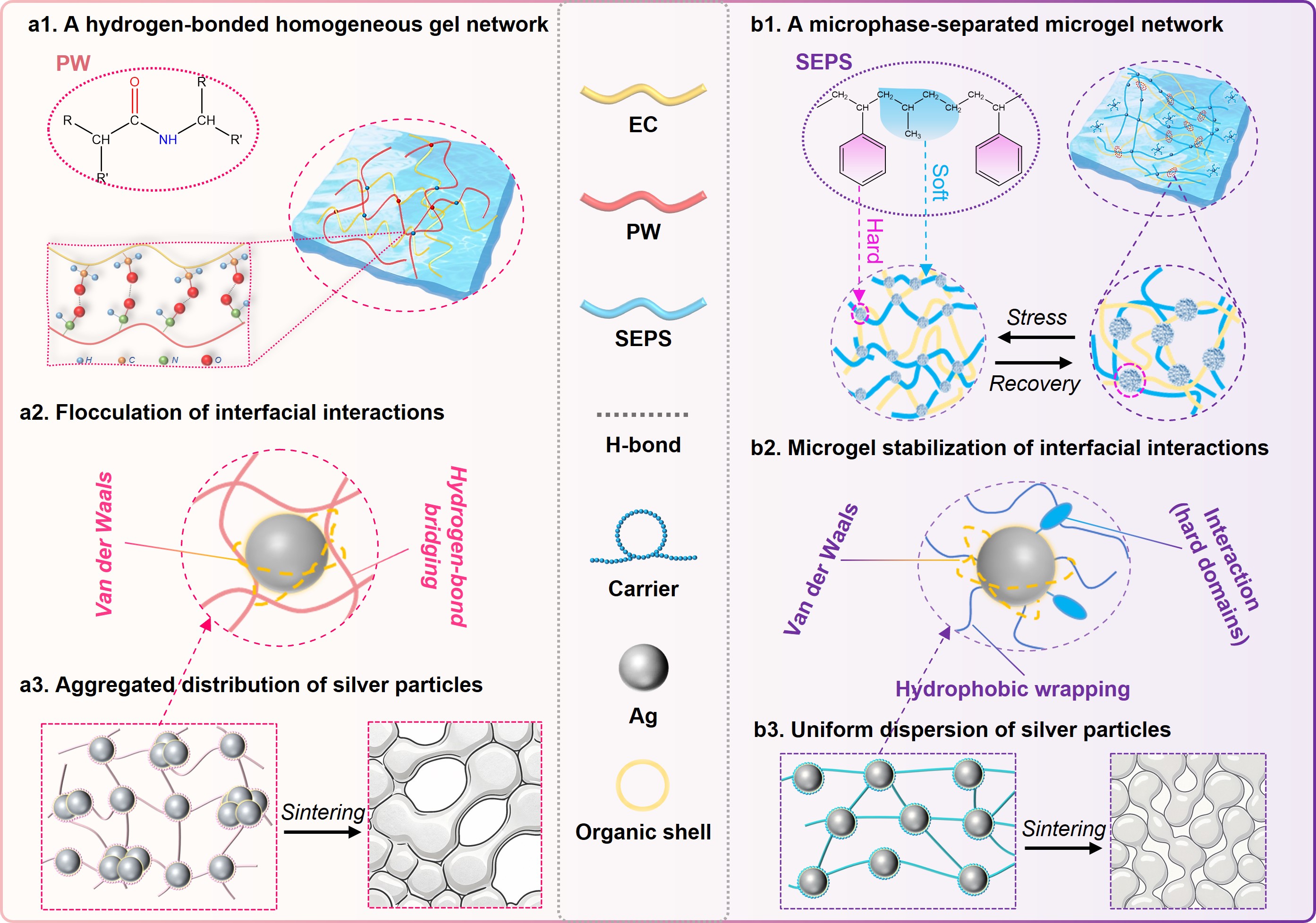 北京大学深研院新材料学院潘锋团队通过调控微相分离弹性体，优化导电浆料性能