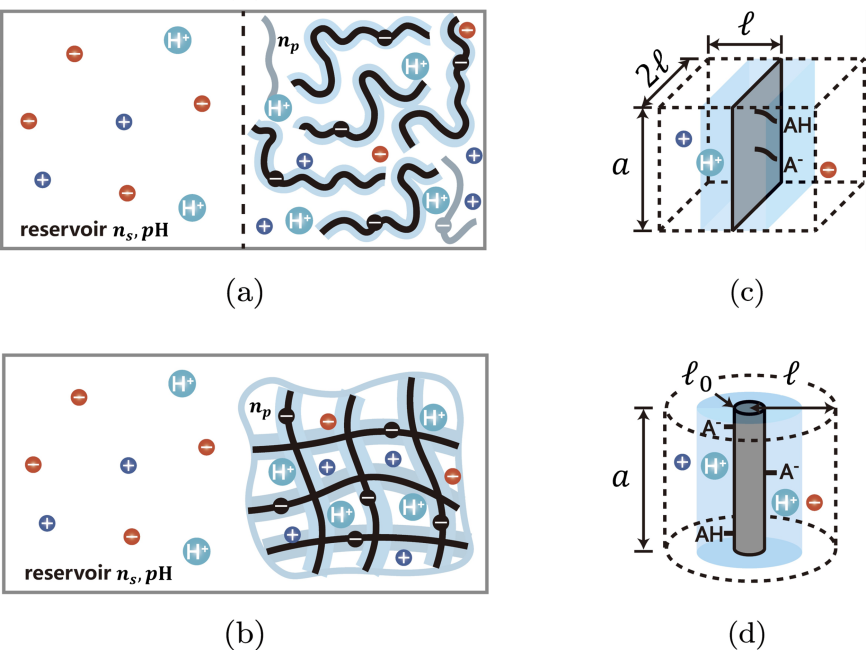 北京大学先进制造与机器人学院陈光课题组揭示弱聚电解质电离标度规律