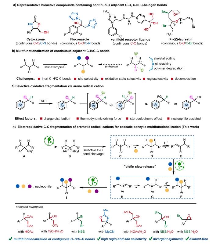 上海交大变革性分子前沿科学中心申涛团队通过芳基自由基阳离子的电氧化C-C键断裂实现级联苄位多官能化