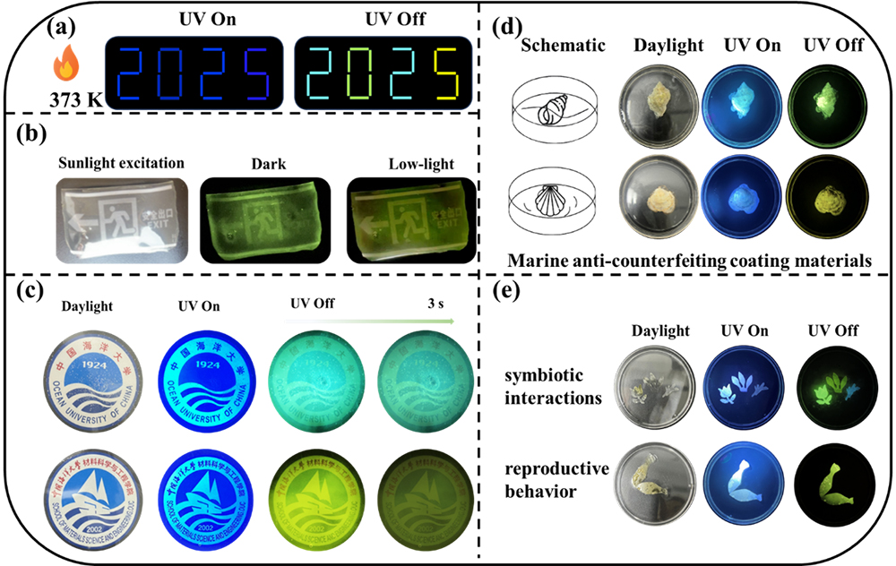 中国海洋大学在有机室温磷光材料领域取得新进展