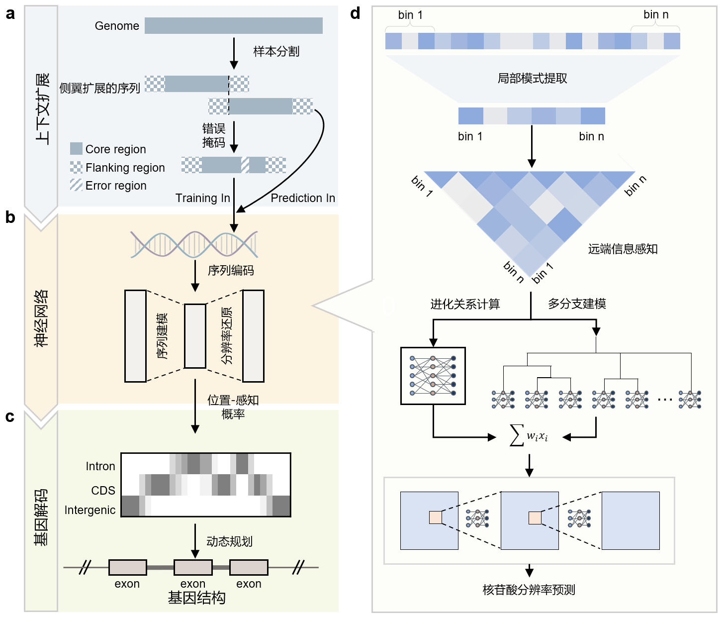 西安交大科研团队在《自然·方法》发表基因注释研究新方法