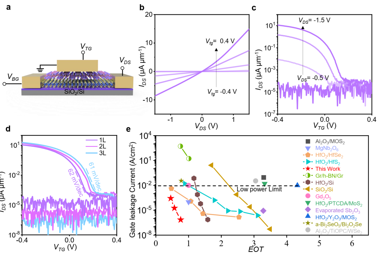 湖南大学段曦东教授团队在二维电子器件电介质领域取得新进展
