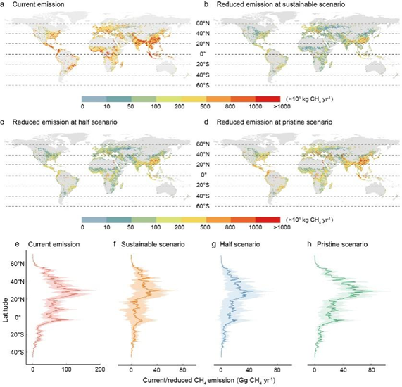 北京师范大学环境学院教授夏星辉团队在《国家科学评论》发文：富营养化导致全球受人类影响河流甲烷排放量翻倍，富营养治理协同甲烷减排潜力显著