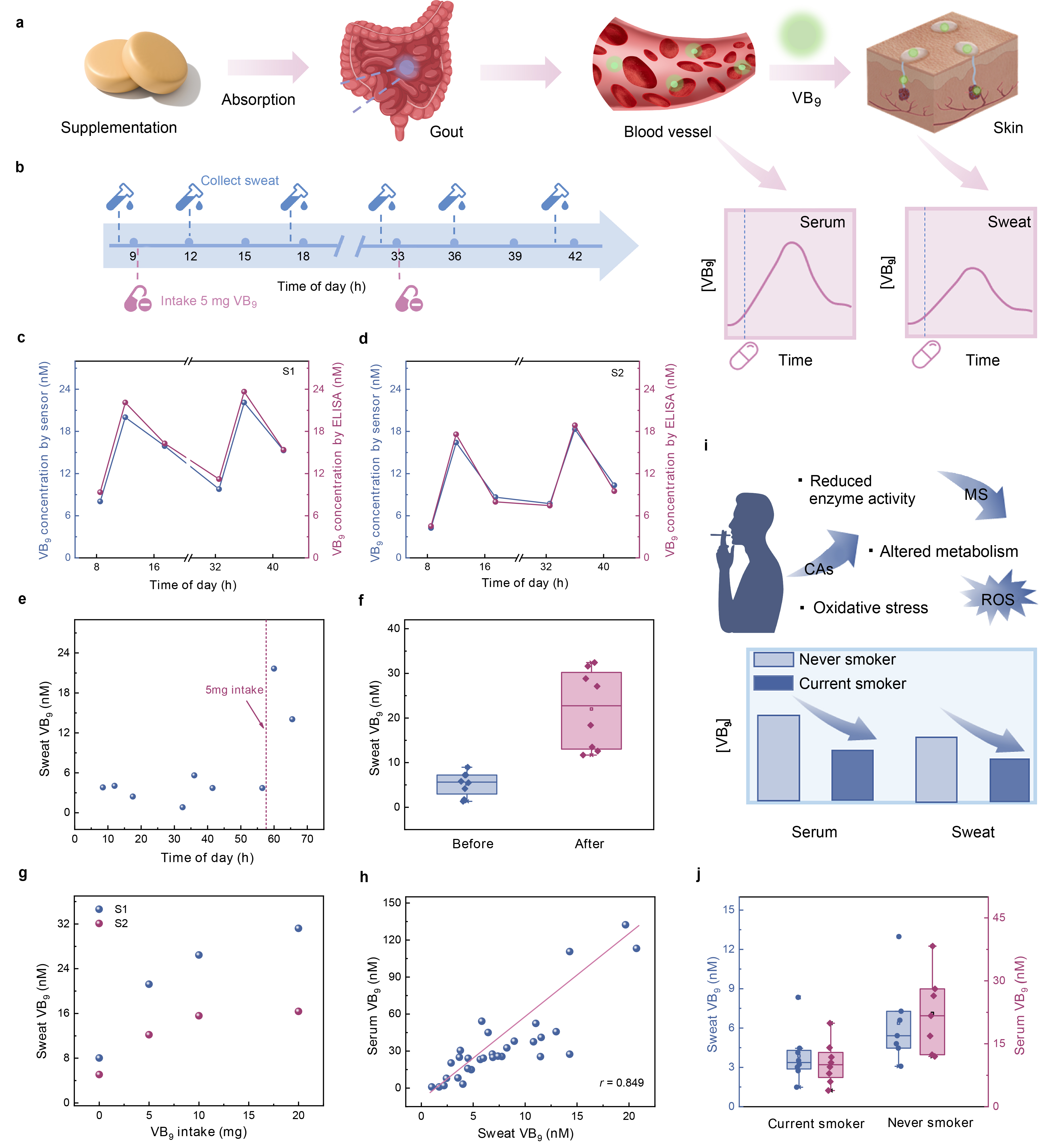 中国农业大学营养与健康系任发政院士团队设计高灵敏汗液可穿戴传感器实现无创实时检测人体维生素水平