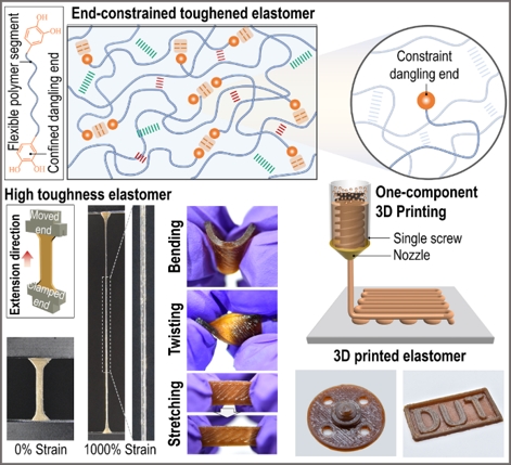 大连理工大学机械工程学院科研团队在增韧3D打印弹性体分子设计领域取得进展