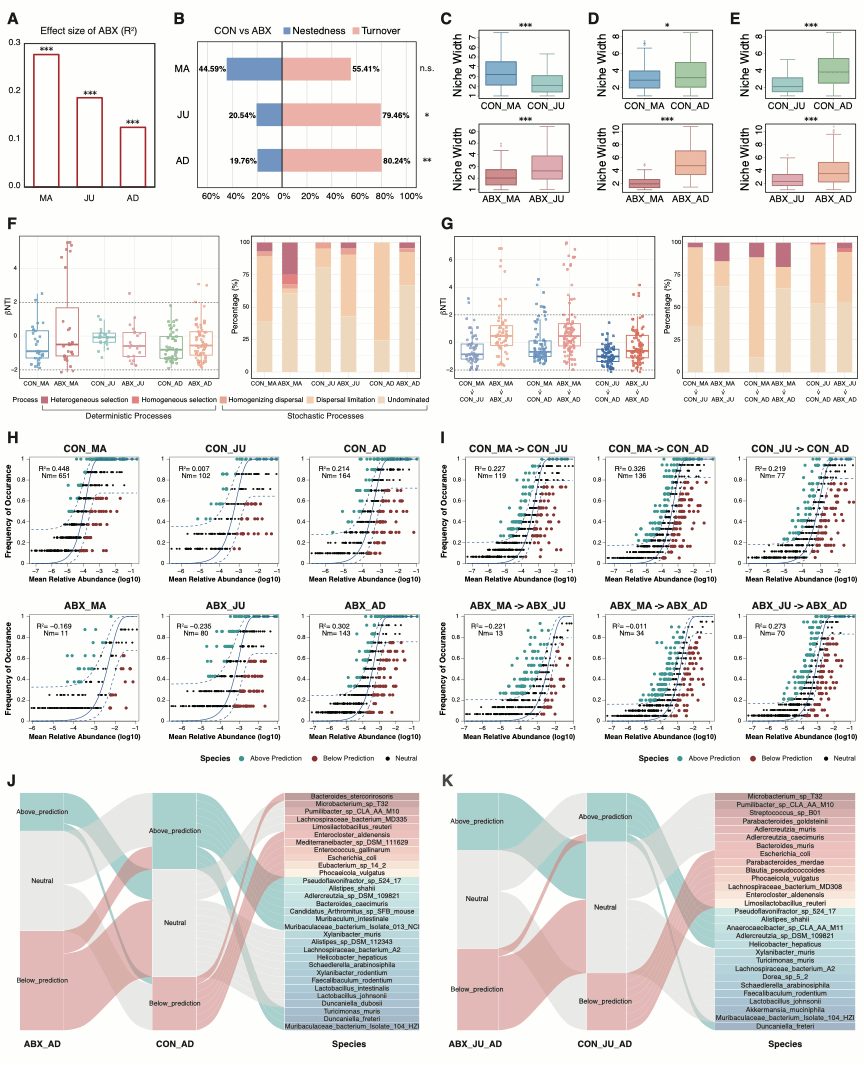 北京大学北京大学第三医院消化科段丽萍教授团队揭示孕前期抗生素暴露影响子代肠道健康