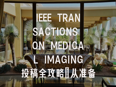 IEEE TRANSACTIONS ON MEDICAL IMAGING投稿全攻略：从准备到录用