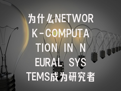 为什么NETWORK-COMPUTATION IN NEURAL SYSTEMS成为研究者的新选择?