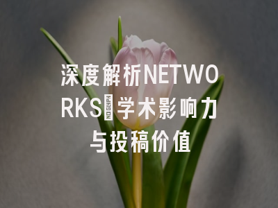 深度解析NETWORKS:学术影响力与投稿价值