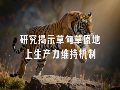 研究揭示草甸草原地上生产力维持机制