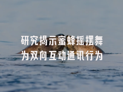 研究揭示蜜蜂摇摆舞为双向互动通讯行为