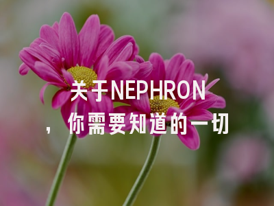 关于NEPHRON，你需要知道的一切