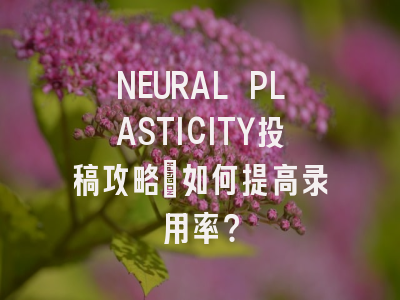 NEURAL PLASTICITY投稿攻略:如何提高录用率?