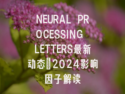 NEURAL PROCESSING LETTERS最新动态：2024影响因子解读