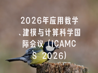 2026年应用数学、建模与计算科学国际会议（ICAMCS 2026）