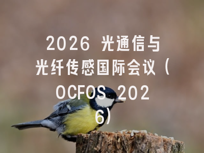 2026 光通信与光纤传感国际会议（OCFOS 2026）