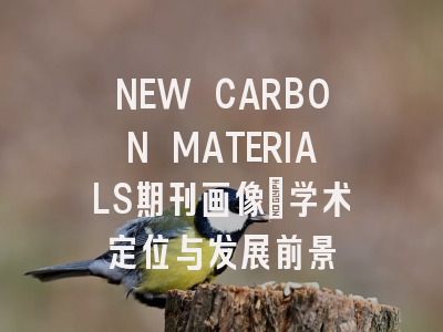 NEW CARBON MATERIALS期刊画像：学术定位与发展前景