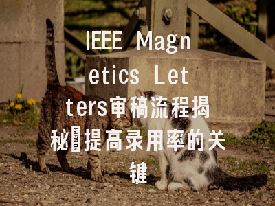 IEEE Magnetics Letters审稿流程揭秘：提高录用率的关键