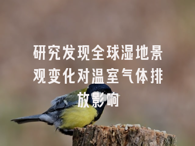 研究发现全球湿地景观变化对温室气体排放影响