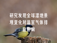 学术会议在线