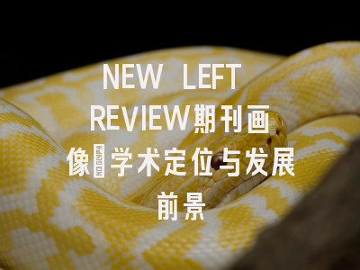 NEW LEFT REVIEW期刊画像：学术定位与发展前景