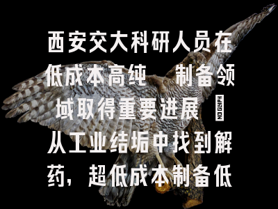 西安交大科研人员在低成本高纯镁制备领域取得重要进展 ​从工业结垢中找到解药，超低成本制备低铝高纯镁