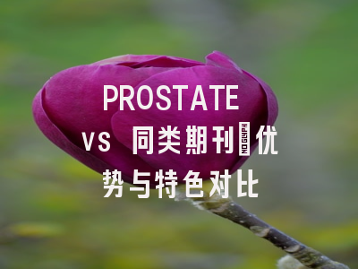 PROSTATE vs 同类期刊:优势与特色对比