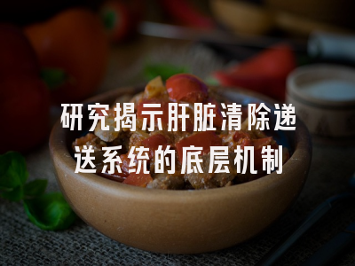 研究揭示肝脏清除递送系统的底层机制