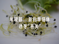 学术会议在线