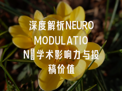深度解析NEUROMODULATION：学术影响力与投稿价值
