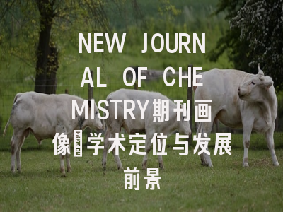 NEW JOURNAL OF CHEMISTRY期刊画像:学术定位与发展前景