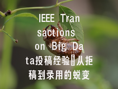 IEEE Transactions on Big Data投稿经验：从拒稿到录用的蜕变