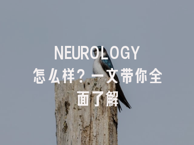NEUROLOGY怎么样？一文带你全面了解