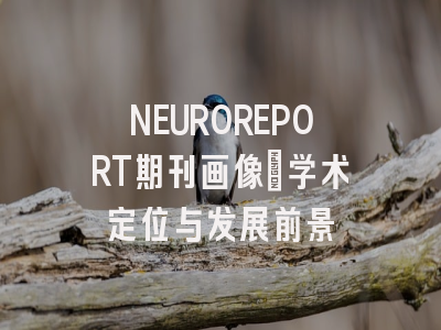 NEUROREPORT期刊画像：学术定位与发展前景