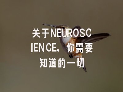 关于NEUROSCIENCE，你需要知道的一切