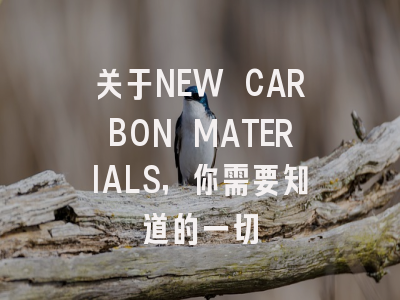 关于NEW CARBON MATERIALS,你需要知道的一切