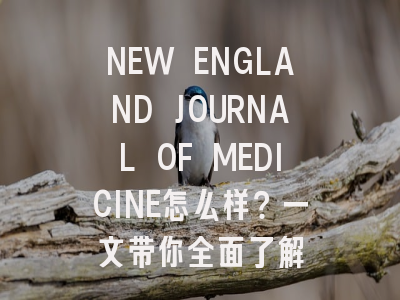 NEW ENGLAND JOURNAL OF MEDICINE怎么样？一文带你全面了解