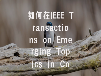 如何在IEEE Transactions on Emerging Topics in Comp...