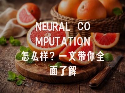 NEURAL COMPUTATION怎么样？一文带你全面了解